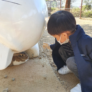 안성팜랜드에서 즐기는 모습