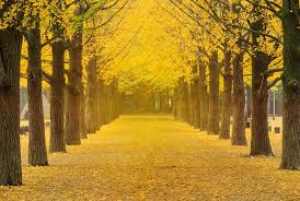 아이와 가을여행