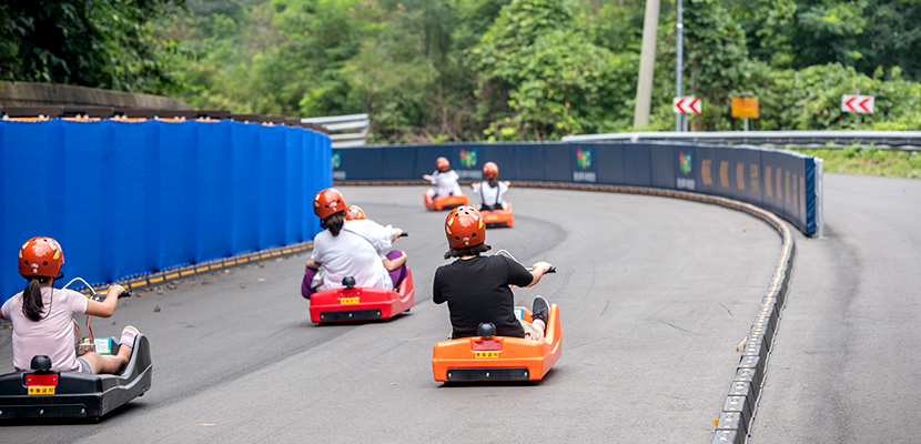 강원도 고랭지 토마토의 매력! 2025 둔내 고랭지 토마토축제