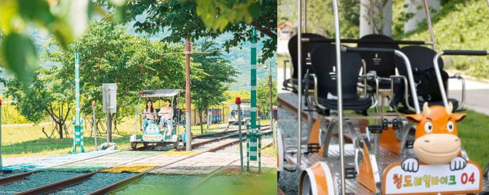 생생정보통 오늘방송(2월 24일) 태능집,369활어회,미래농장,청도레일바이크,태경발효 연농장