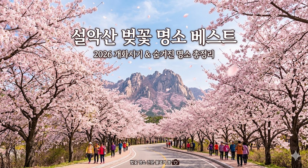 설악산 벚꽃 터널