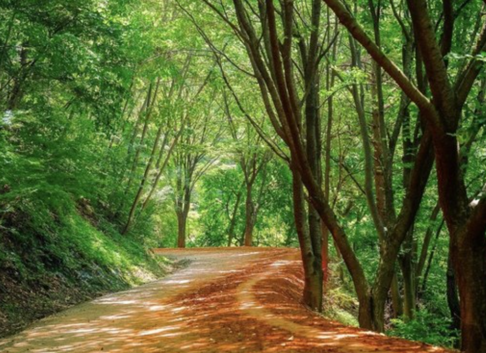 계족산 황톳길 주요 정보