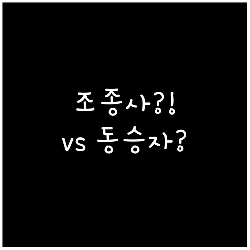 비행기 꿈 해몽 조종사 꿈과 동승자 ..