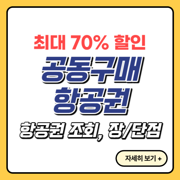 공동구매-항공권