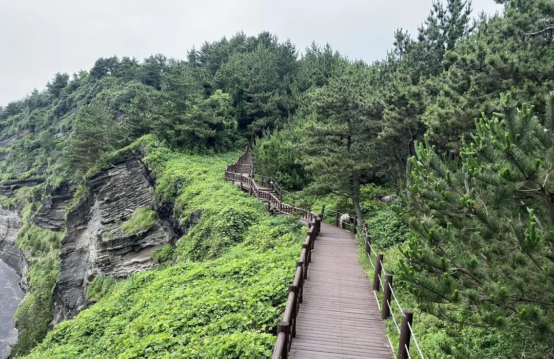 전국 전기차 충전소 확인하러 가기