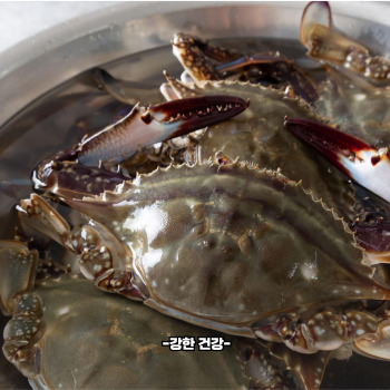 꽃게 부작용