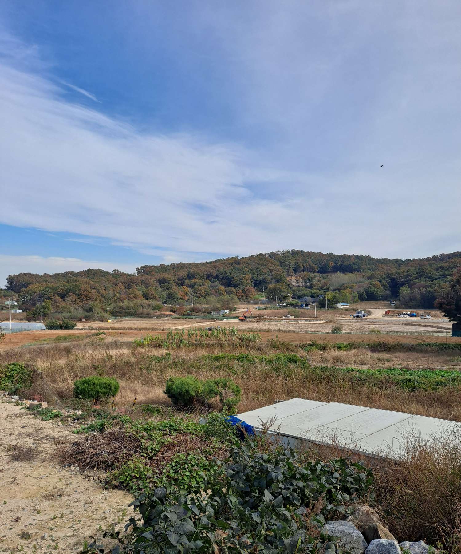 미리내칼국수집 근처풍경