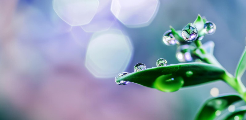 지역별 날씨 데이터를 활용한 농업의 미래