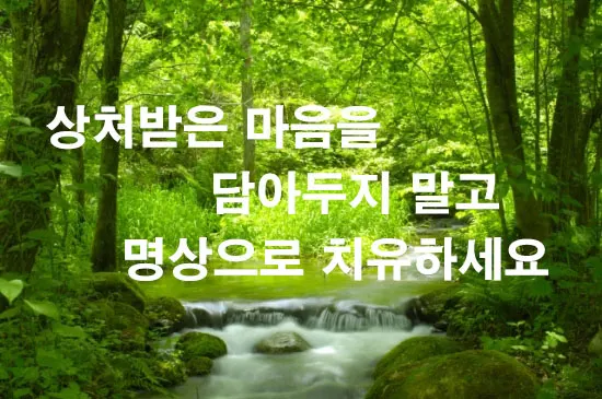 치유의 영상