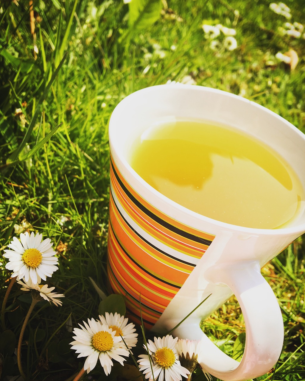 다른 차의 사진의 모습 1