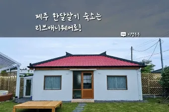 제주도 한 달 살기 아기와 함께하는 특별한 여행 준비 팁_16