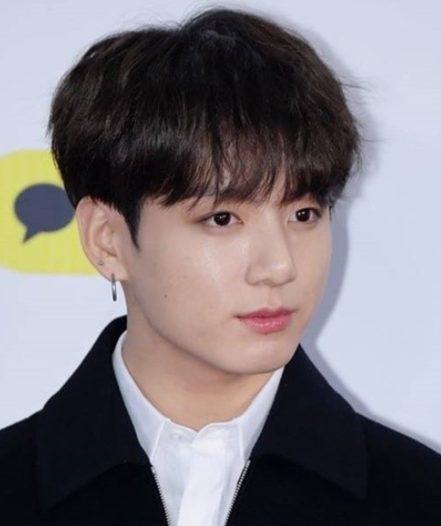 BTS 정국 팬송 프로필