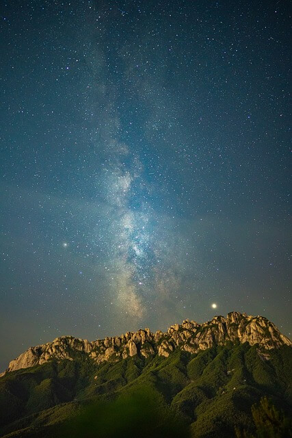 산림산업기사