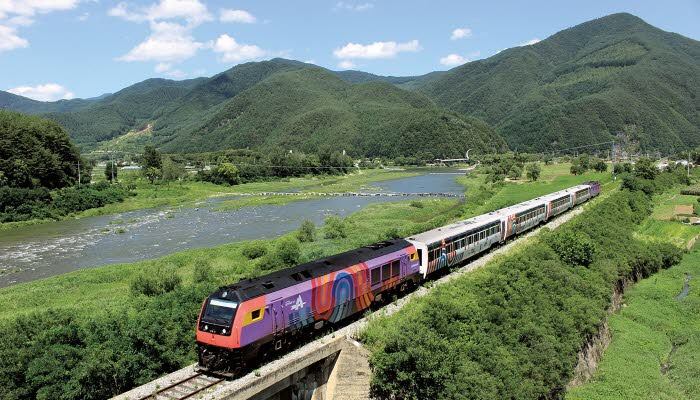 반려동물과 함께하는 대중교통