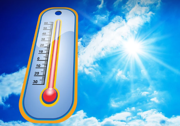 2024년_초복_중복_말복