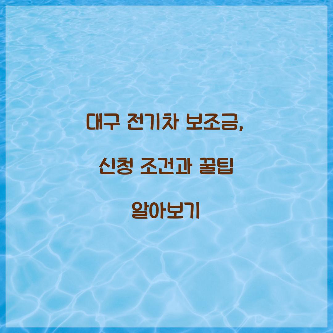 대구 전기차 보조금