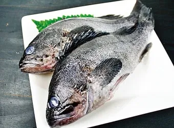6월 제철 횟감 맛집 어디서 먹는 게 가장 맛있을까요 지역별 상세 추천_20
