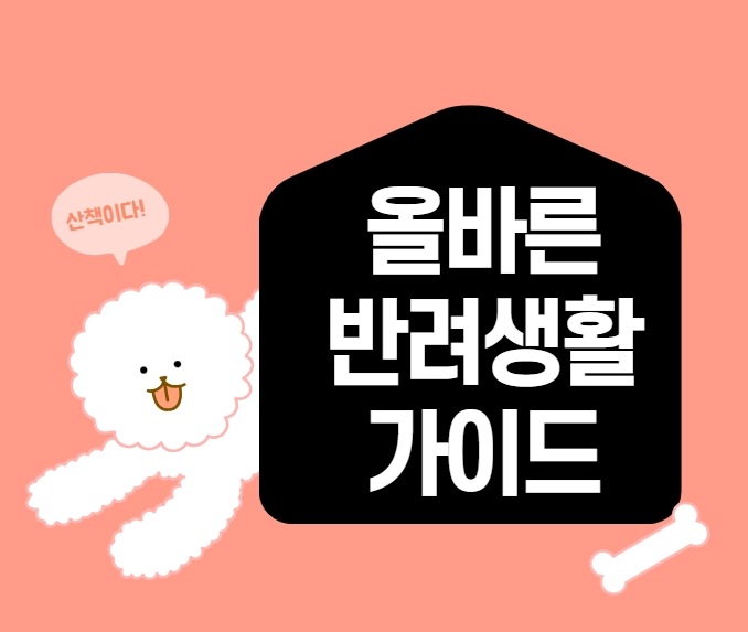 반려문화가이드_반려견 등록 및 외출 필수 준수사항(목줄&middot;입마개&middot;배변)