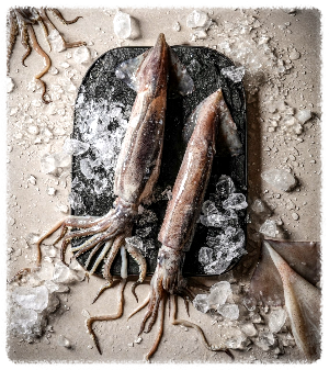 대청얼큰오징어찌개