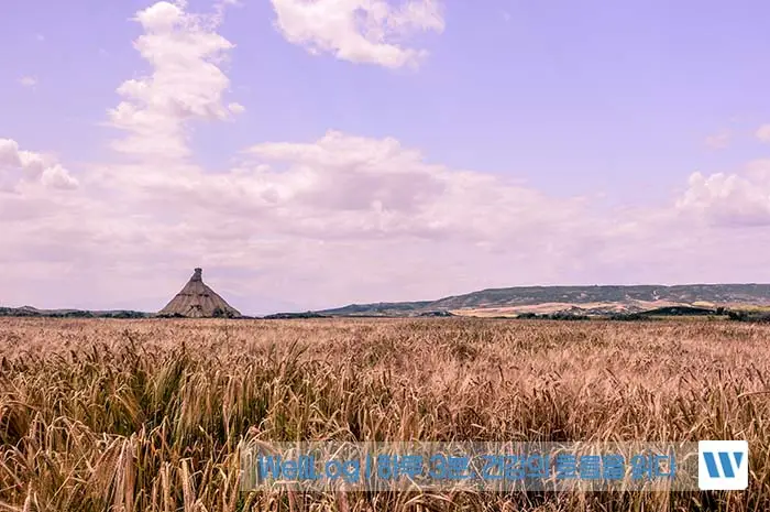 루피니빈, 파로 곡물 효능