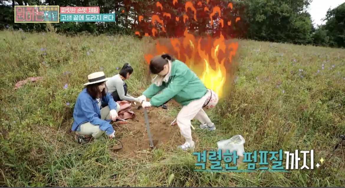 원하는대로박하선도라지체험사진