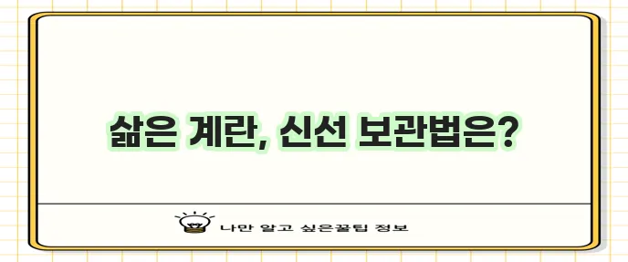 삶은 계란 어떻게 보관해야 할까요 궁금하시죠?