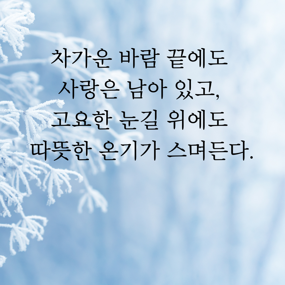 겨울 좋은 글귀 겨울 명언 문구 이미지