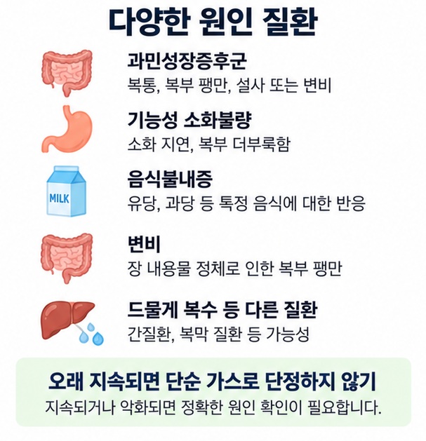 지속적인 복부 팽창에서 과민성장증후군, 기능성 소화불량, 음식불내증, 변비와 복수 등 다른 원인을 구분해 설명한 이미지