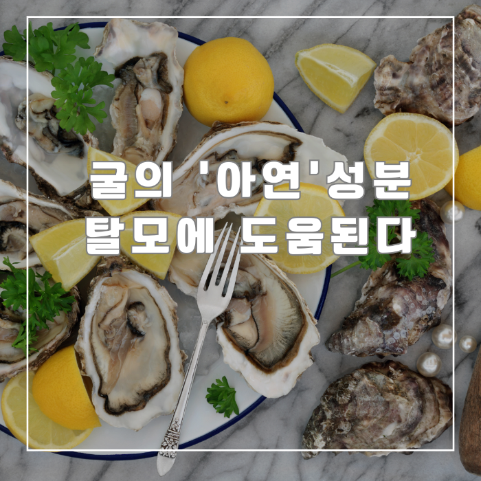 굴의 아연 성분 탈모에 도움