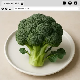 브로콜리 반찬 요리 밑반찬 레시피_4