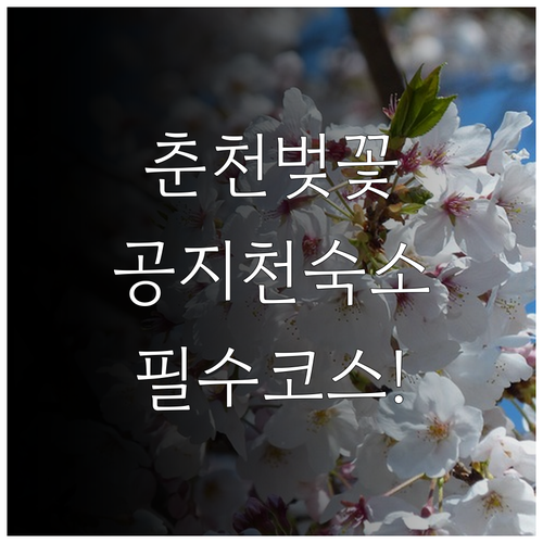 봄 춘천 여행 호텔공지천 숙소 정보와..