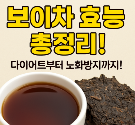 보이차 효능