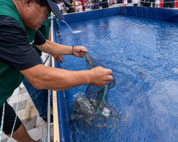 무창포 대하 전어축제_15