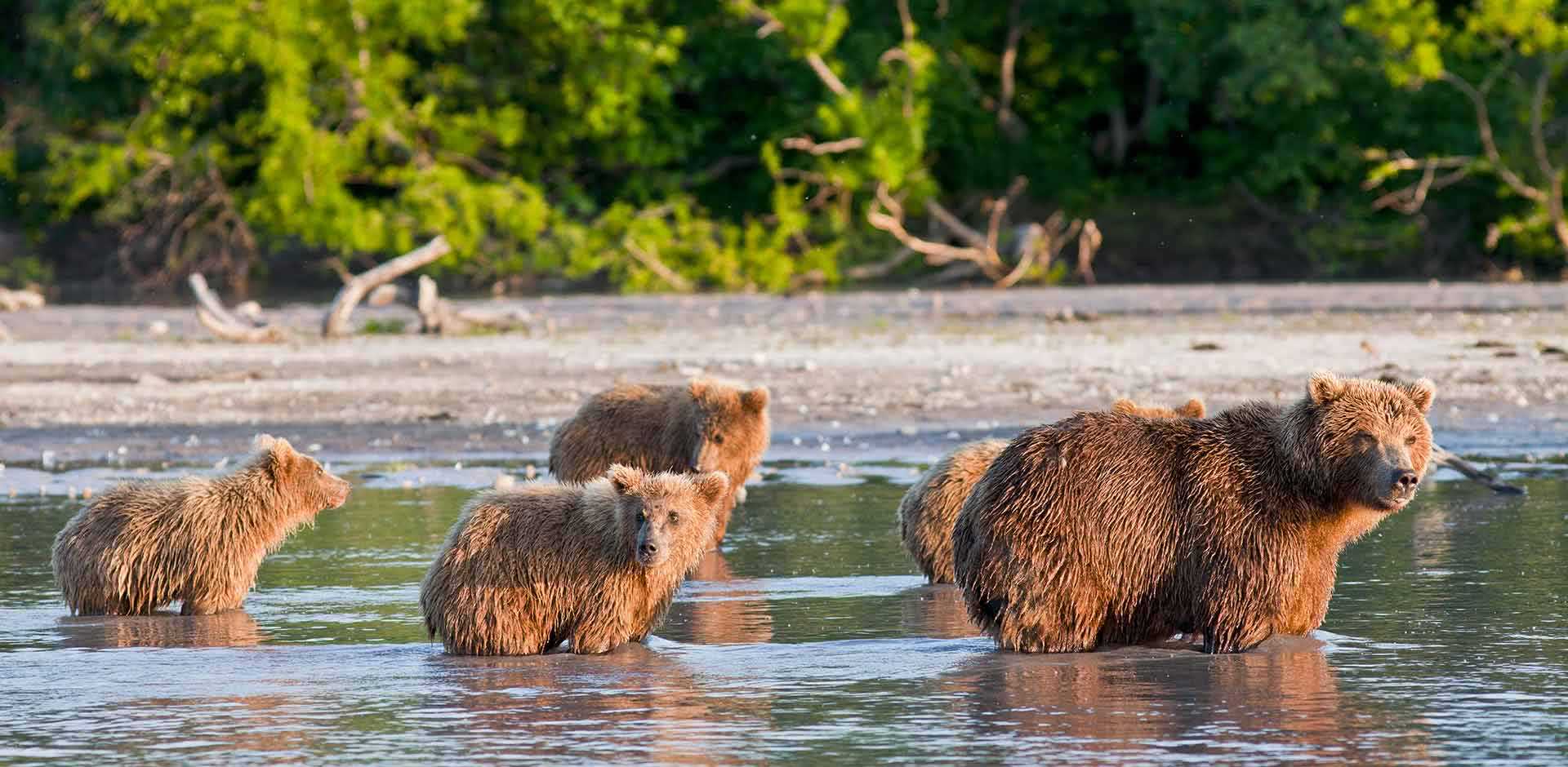 유네스코 세계유산 러시아 캄차카 화산군