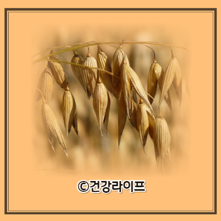 귀리 효능&#44; 부작용&#44; 밥짓기&#44; 먹는법