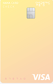 알뜰교통 비바 e 플래티늄 체크카드