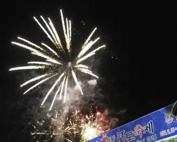 영동포도축제 불꽃놀이_1