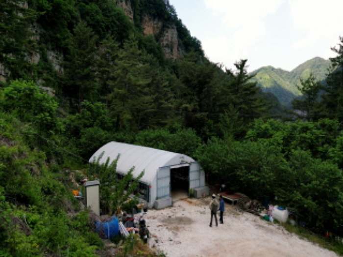 나는 자연인이다 12살 아들과 함께, 석이버섯 채취, 통발 민물고기 수제비 매운탕, 황기뿌리 영양밥, 산초기름 볶음밥, 해답은 산에 있다 자연인 김기태 소개 및 윤택 출연 559회 다시보기