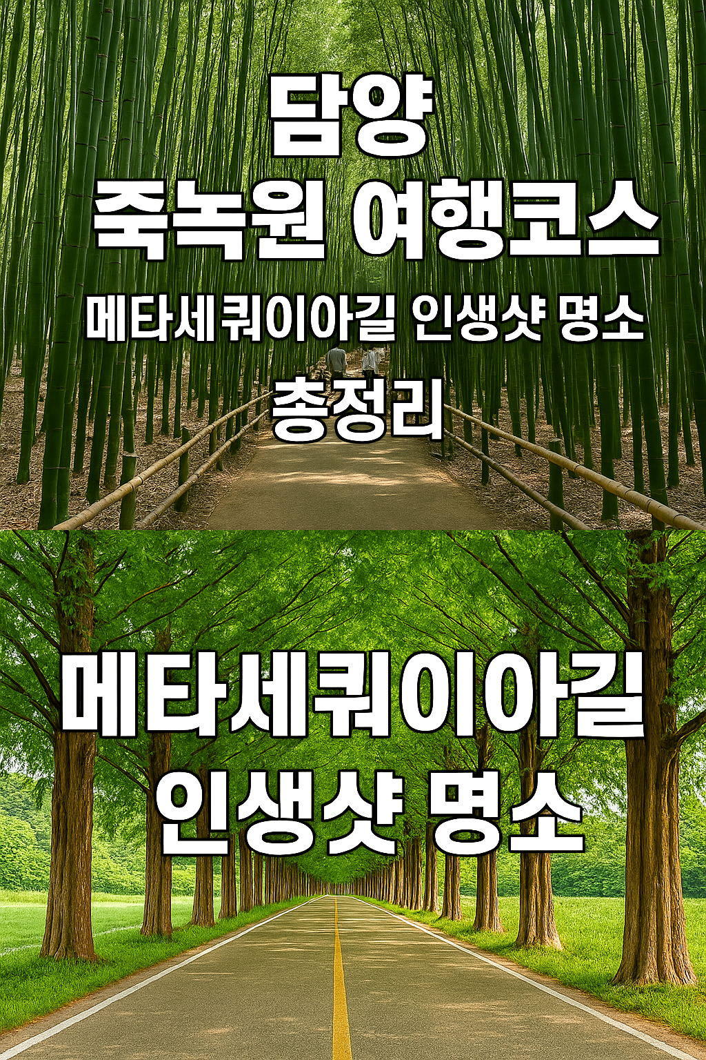 🌿 담양 죽녹원 여행코스 & 메타세쿼이아길 인생샷 명소 총정리 관련사진.