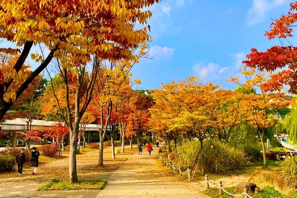 호수와 단풍이 만나는 순간 : 전국 가을 포토 명소 총정리_광교호수공원