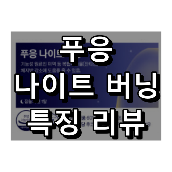 푸응 나이트 버닝 대표 이미지