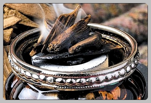 공진단 가격 효능 총정리