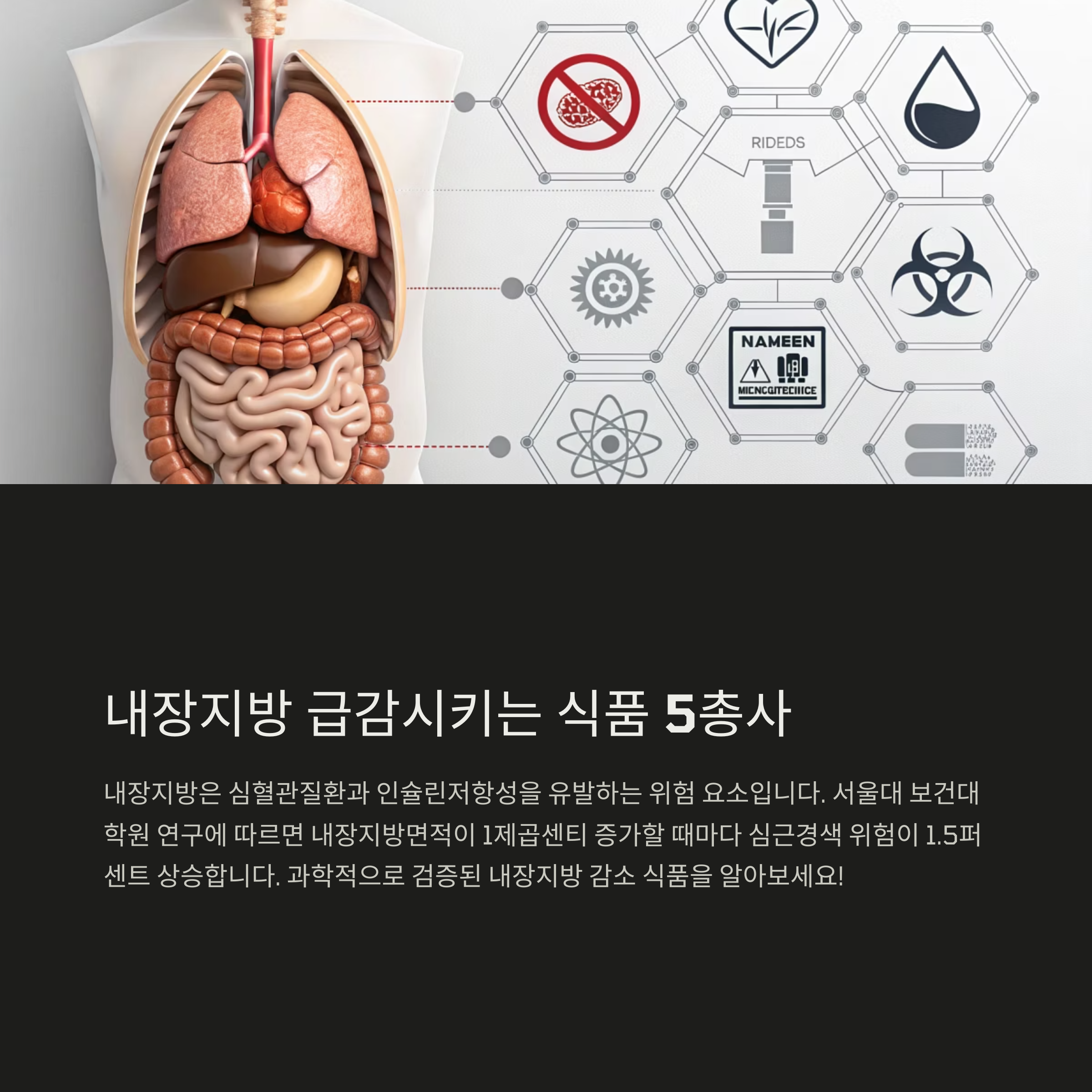 급감식품 5총사 소개