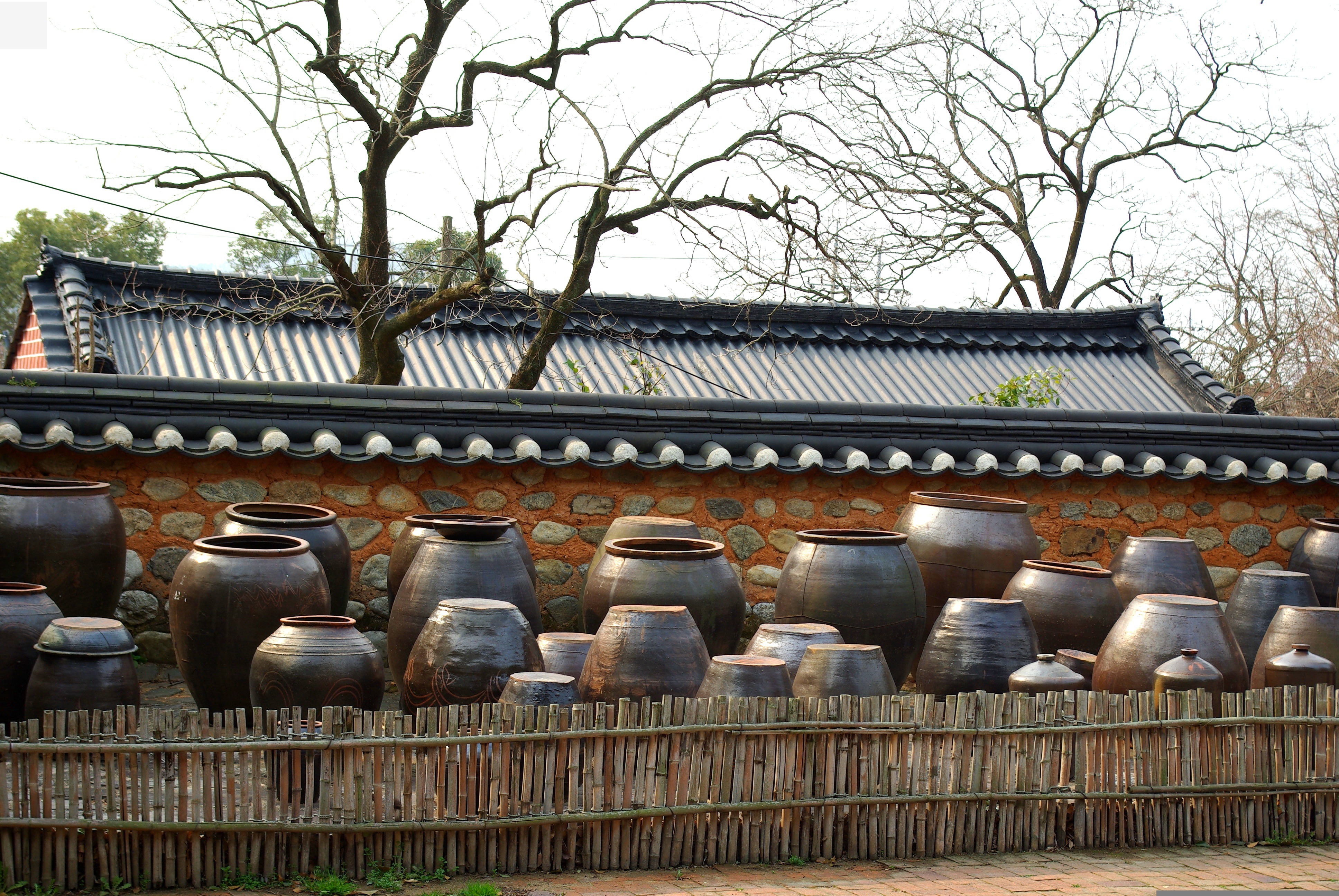 쪽파김치담그는법