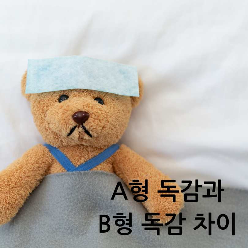 A형독감과 B형독감 차이
