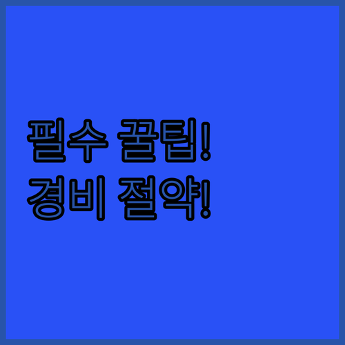 스위스 패스 로잔 올림픽 박물관 무료..