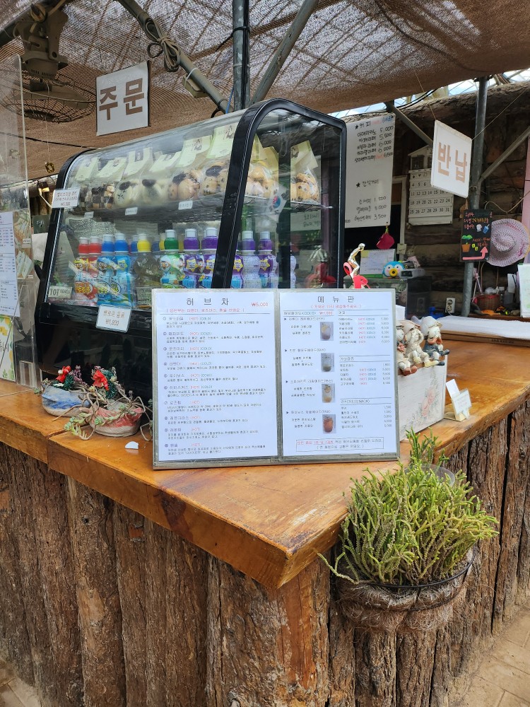 음료 메뉴