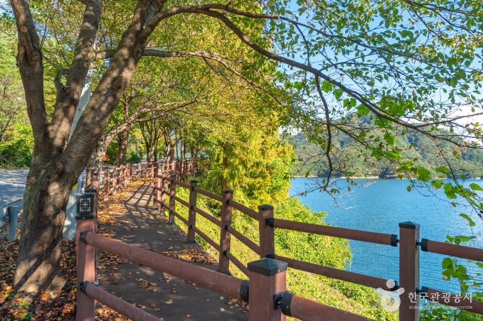 충주 가볼만한곳 베스트 10