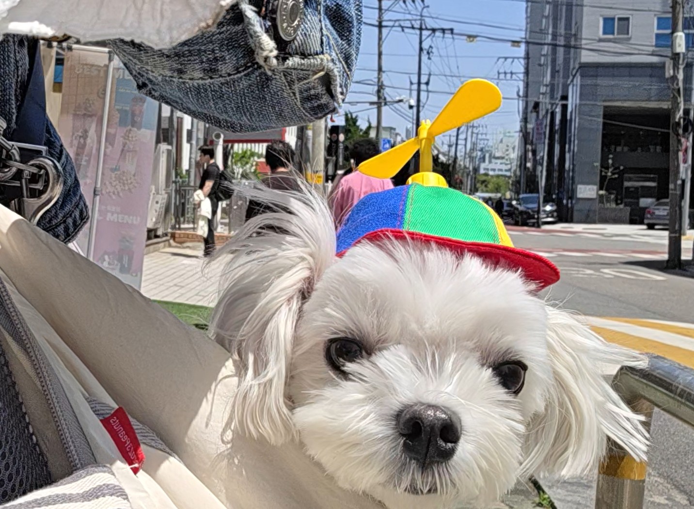 집으로 돌아오는 길