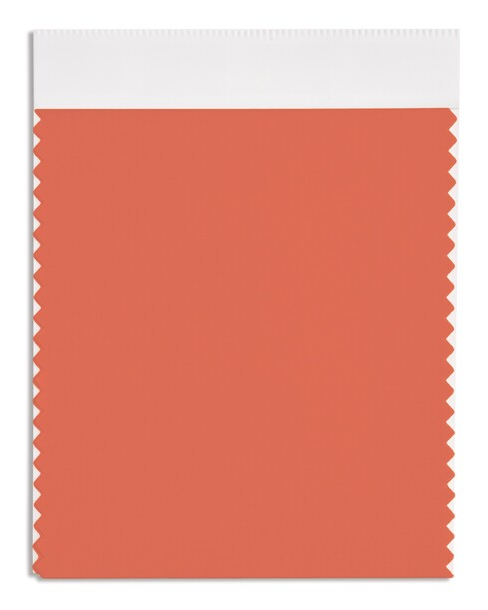 오렌지에이드(Orangeade)